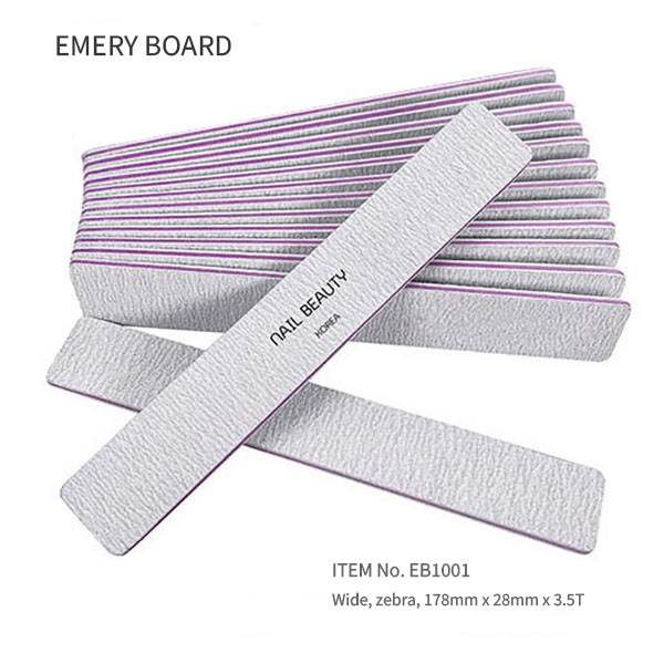 EB1001