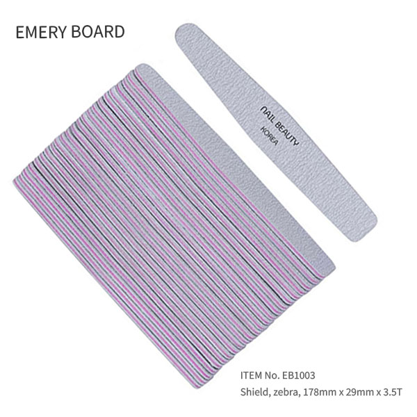  EB1003