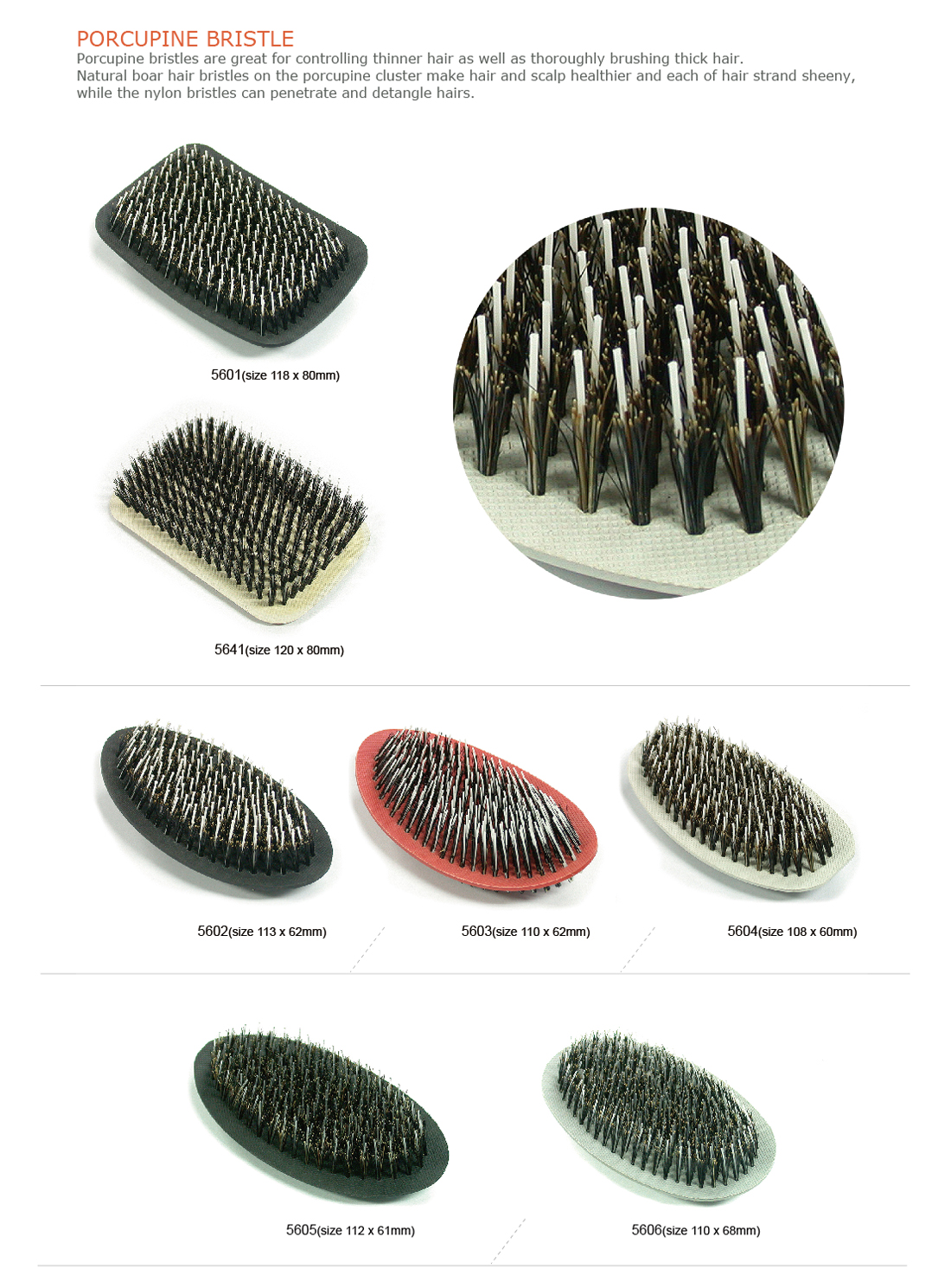 PORCUPINE BRISTLE